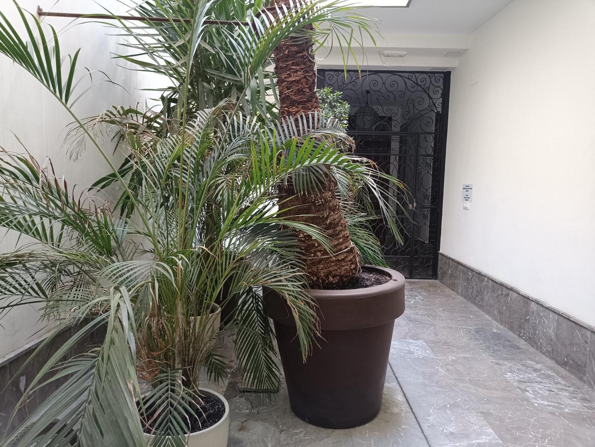 Apartamentos Luxury Puente De Triana Севилья Экстерьер фото